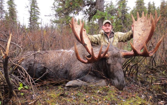 Trophy Moose Hunts